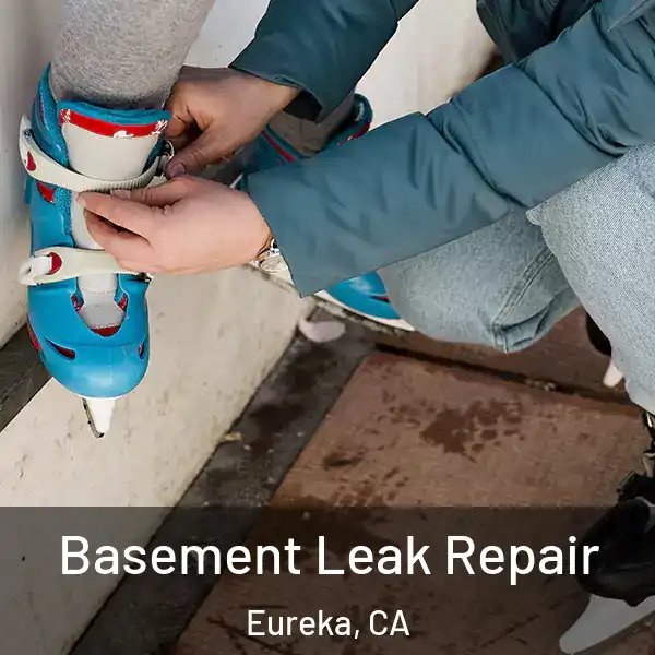  Basement Leak Repair Eureka, CA