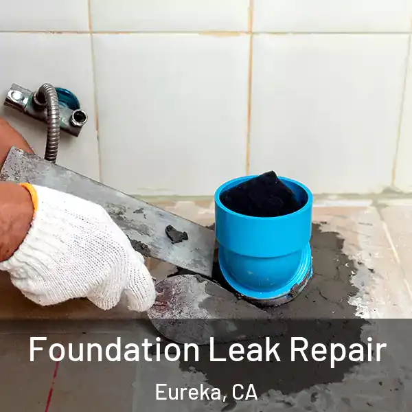  Foundation Leak Repair Eureka, CA
