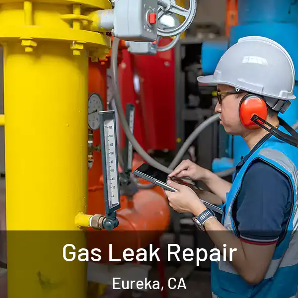  Gas Leak Repair Eureka, CA