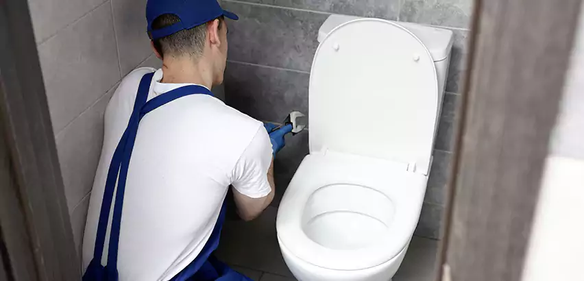 Toilet Lid Replacement in Eureka