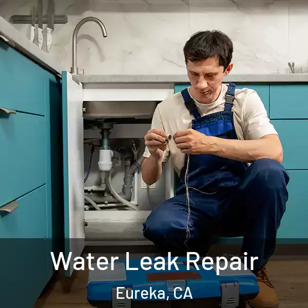  Water Leak Repair Eureka, CA